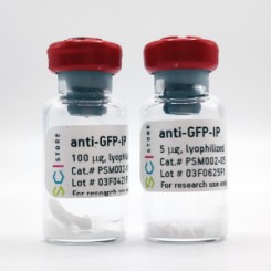 anti-GFP антитела, клон 2G7, anti-GFP-IP, ИФА, иммунопреципитация